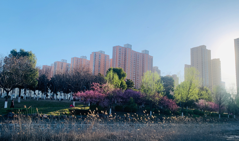 365娱乐app官方版下载_365bet官网体育娱乐_365bet手机下载初春随拍